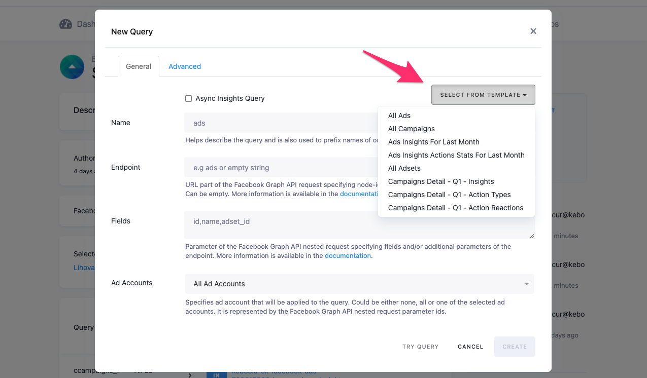 Screenshot - New Query