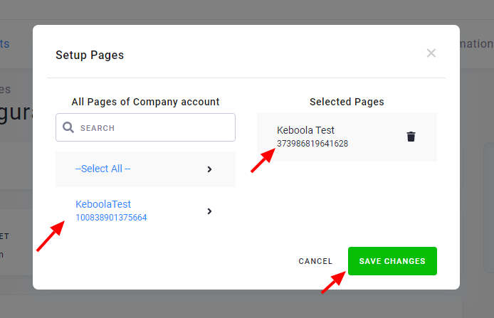 Screenshot - Select Facebook Pages