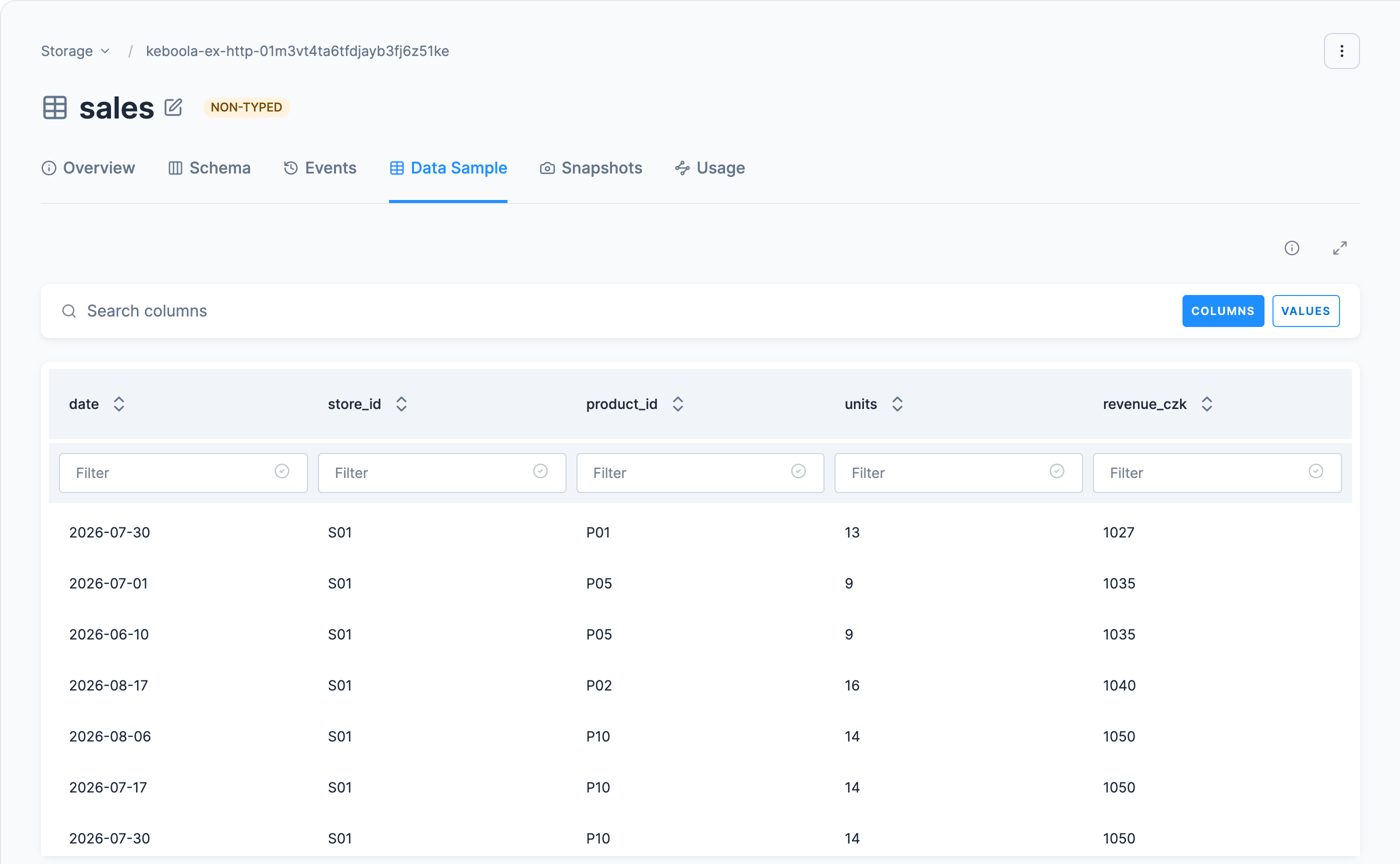 Screenshot - The Data Sample tab of the sales table, marked NON-TYPED, with the columns date, store_id, product_id, units and revenue_czk above rows of sample values