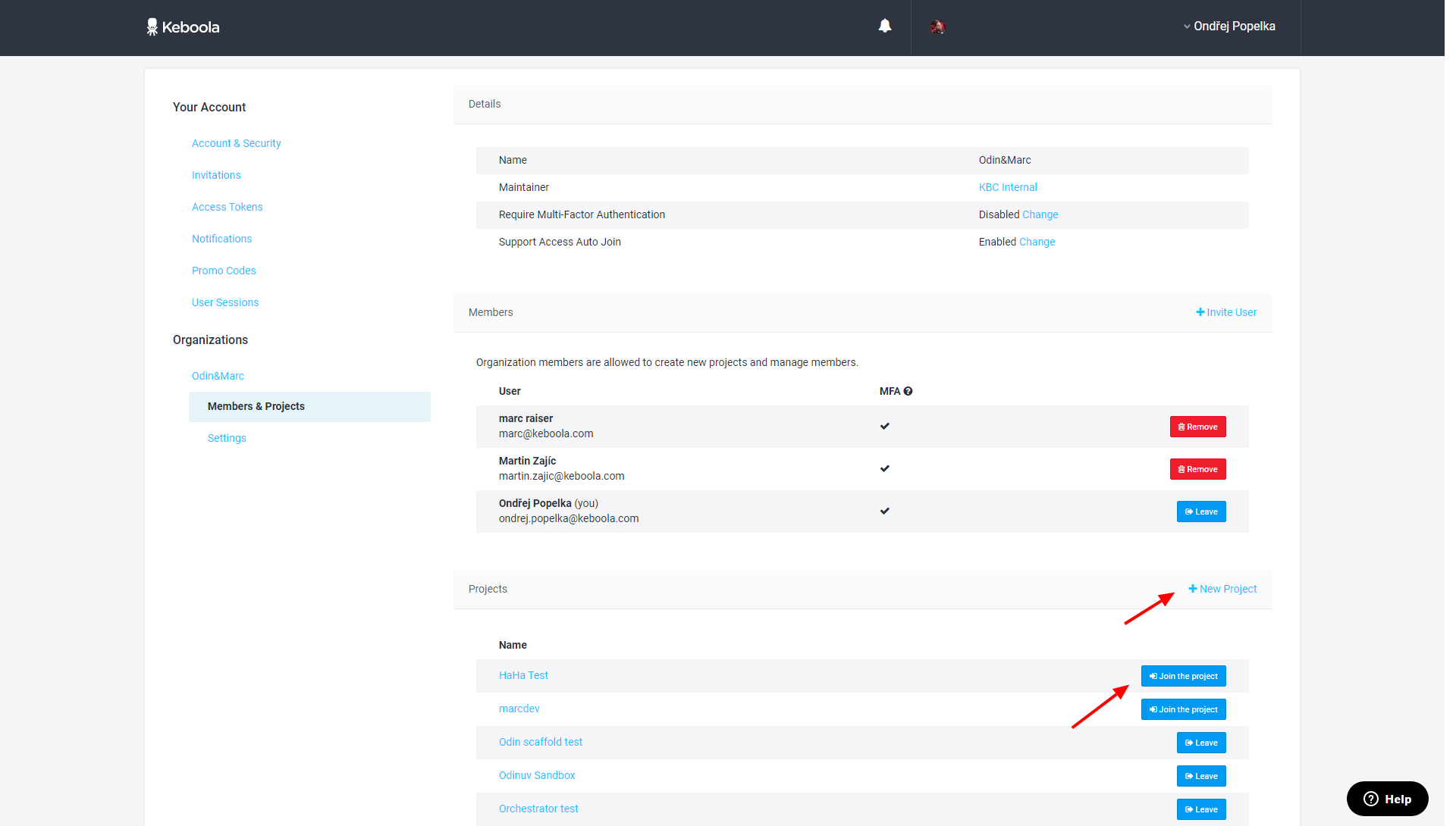 Screenshot - Organizations Projects