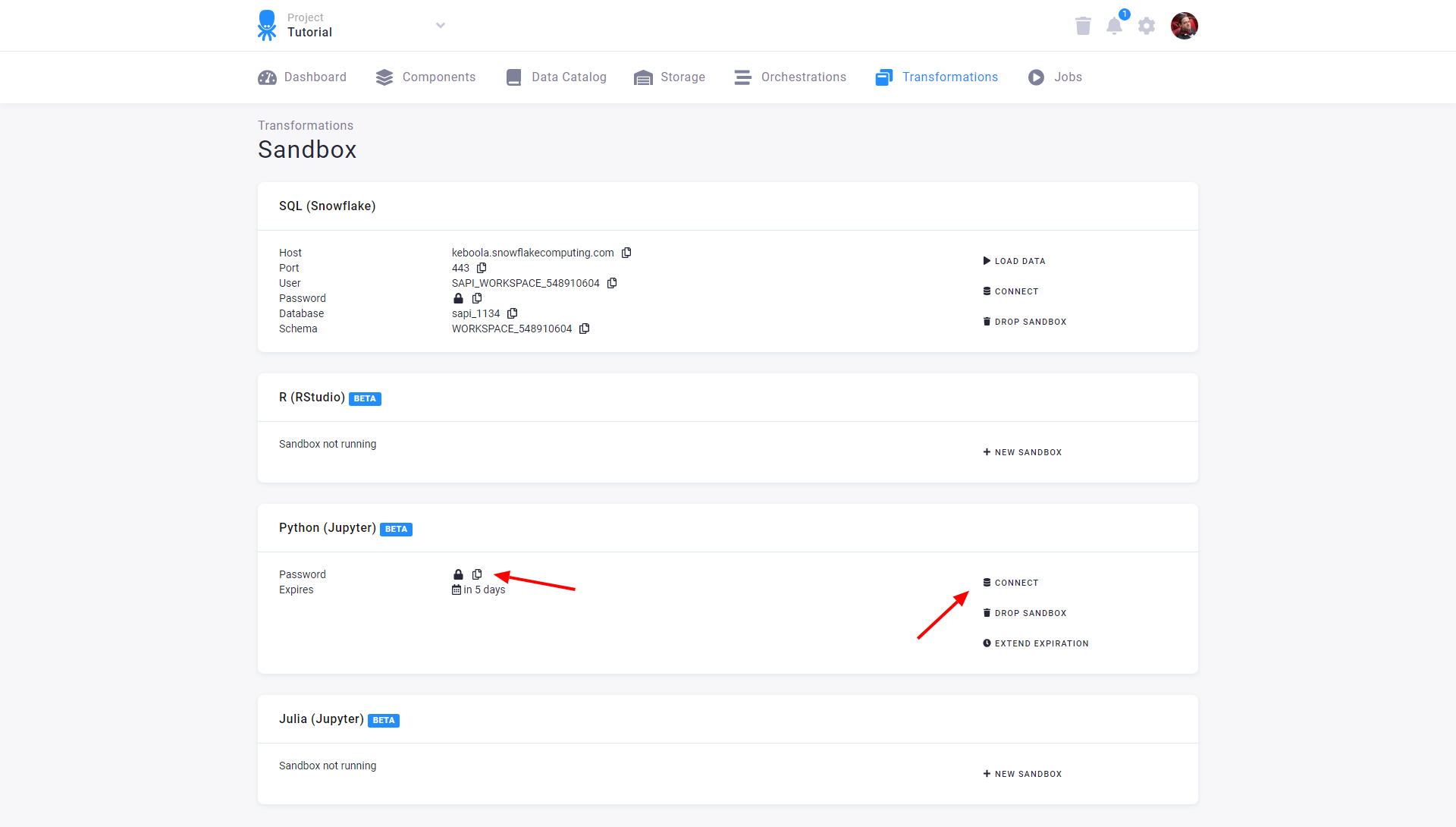 Screenshot - Sandbox Credentials